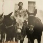 Home IMG 20251104 WA0030 150x150